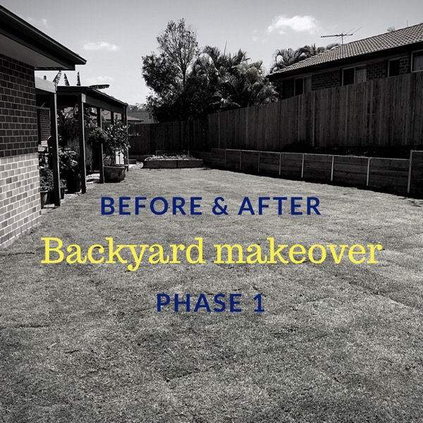 Backyard renovations before and after