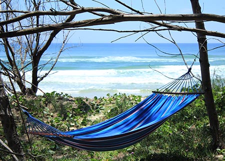Hammock at Stradbroke Island