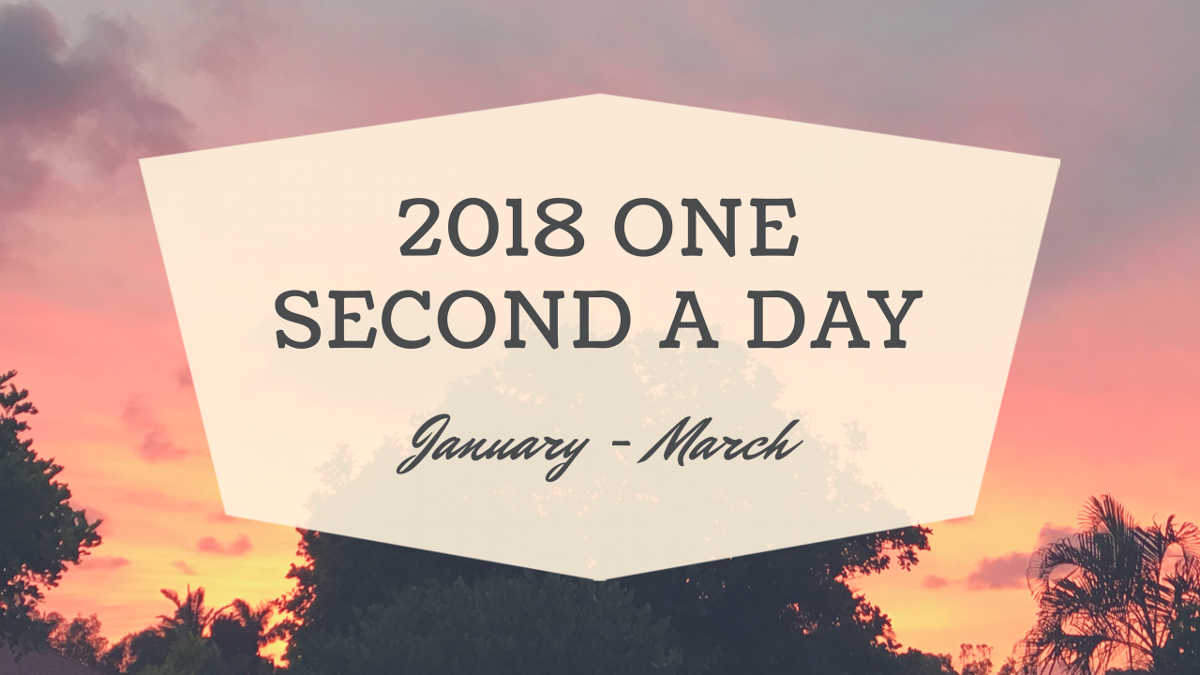 Banner image of one second every day video