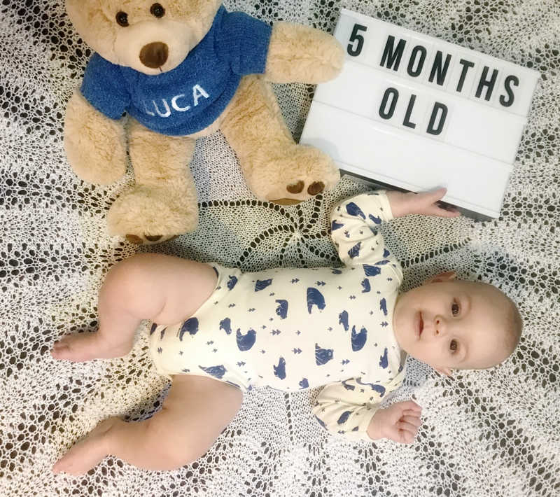 baby 5 months old photo